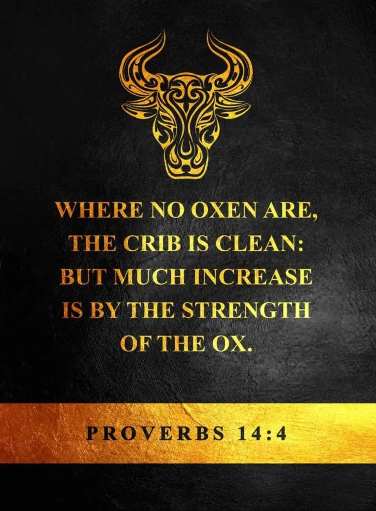 A dark graphic with a golden bull's head and the text Where no oxen are, the crib is clean: but much increase is by the strength of the ox. Proverbs 14:4.