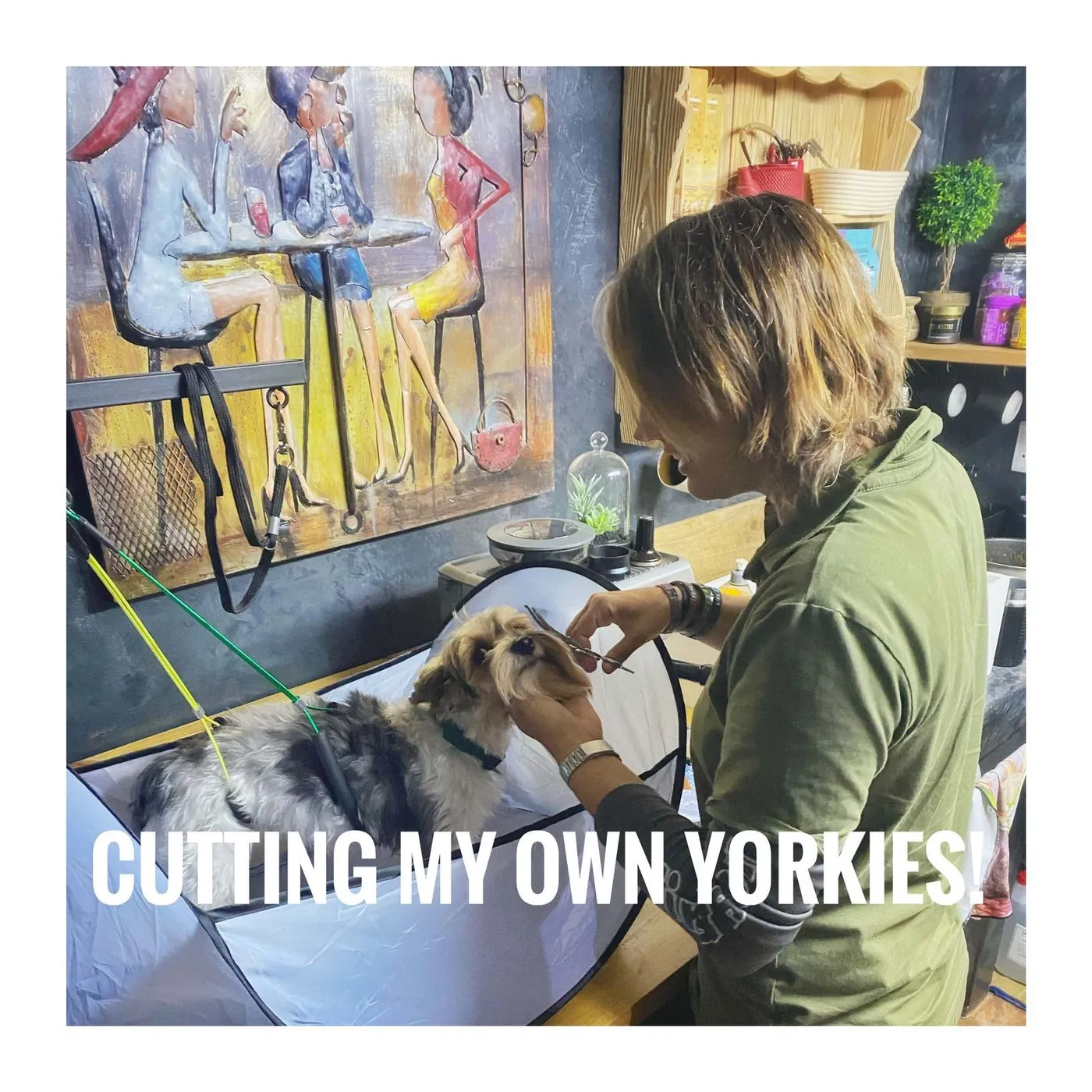 A woman in an apron trims a small dog on a table, captioned Cutting my own Yorkies!