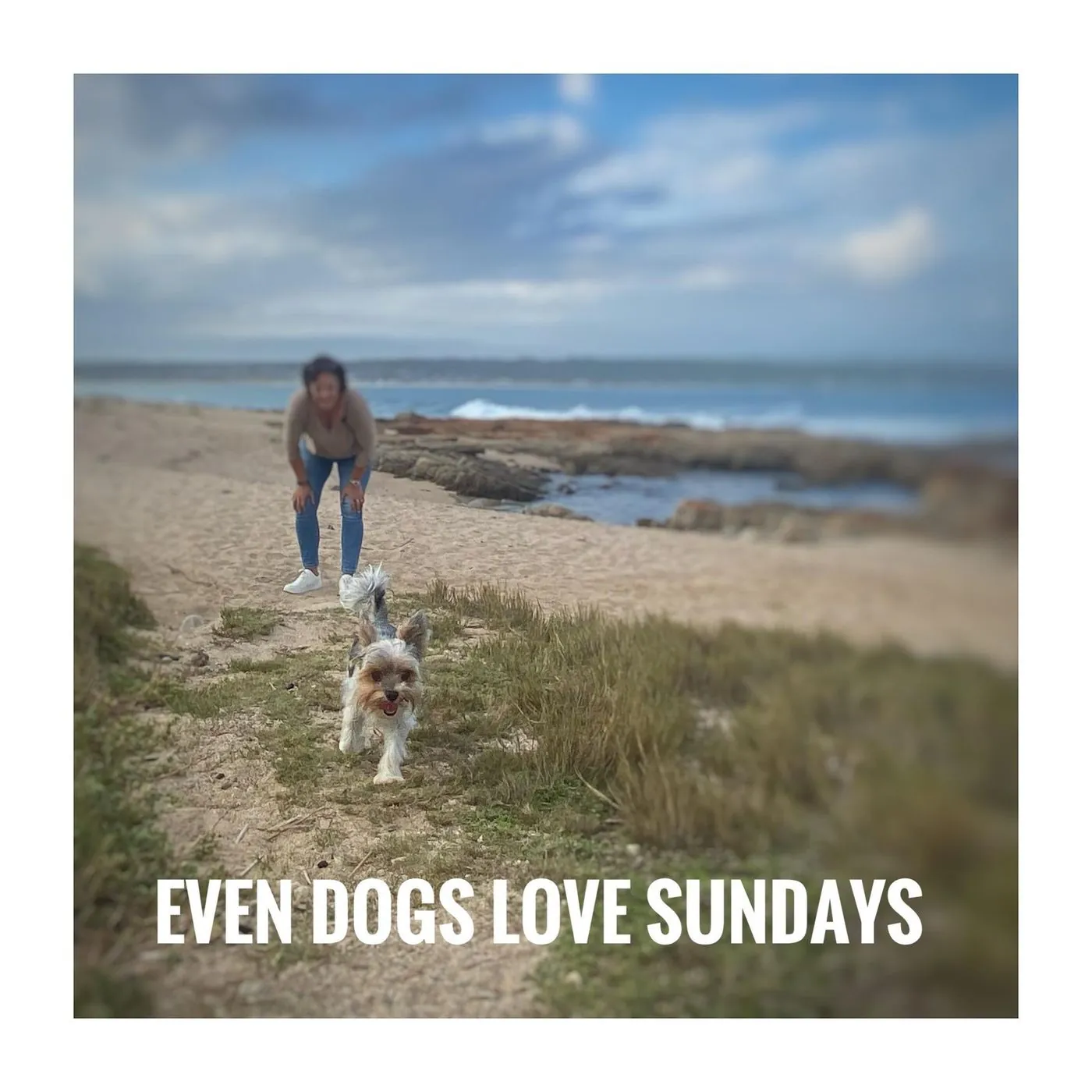 A person and a small white dog walk on a beach, captioned Even dogs love Sundays.